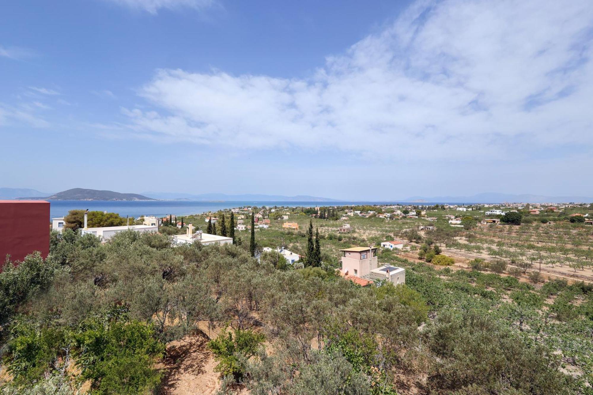 Tzíkidhes Katinaki'S View Apartment מראה חיצוני תמונה